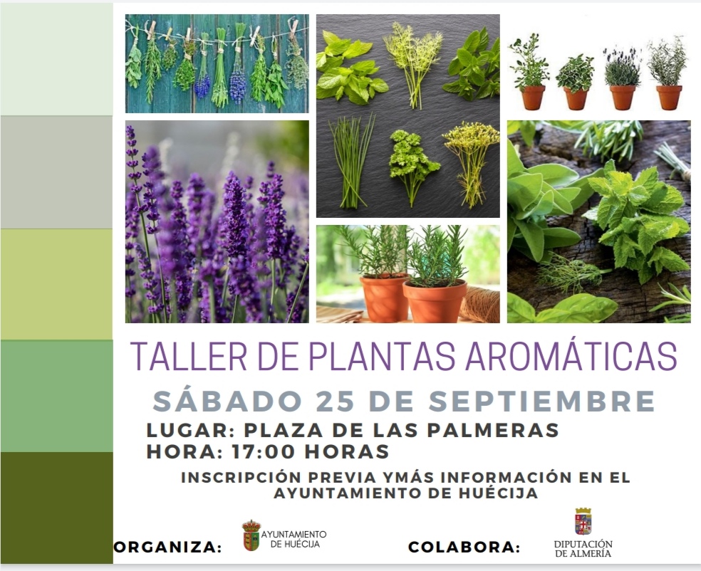 TALLERES EN FAMILIA - PLANTAS AROMÁTICAS